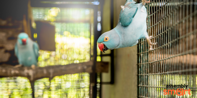 Pet Enclosure Assembly